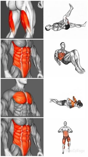 4 Full Body Exercises | Quick & Effective Workout 💥