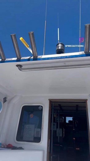 17K views · 249 reactions | 42* ling cod! #fishing #lingcod #boatlife #PNW #saltlife #bigfish | Pnwcoastfishing | Facebook