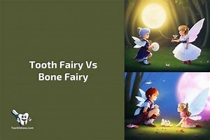 Tooth Fairy Vs Bone Fairy: A Battle Of Mythical Creatures (2026)