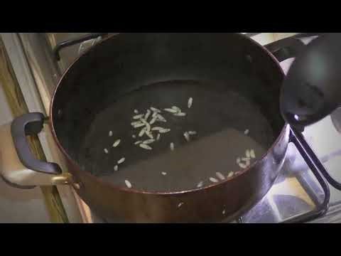 Mango Worm Extraction from a Stray Dog's Entire Body