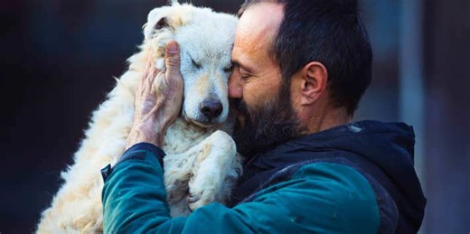 If a man does these 11 things around your dog, you should marry him as fast as you can