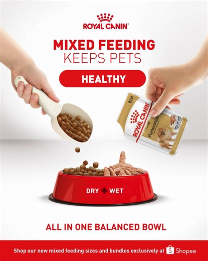 One bowl, so many benefits! Give your pet the best of both worlds with Mixed Feeding, for hydration, satisfaction, and all-around tail-wagging health. Learn more about Mixed Feeding at www.royalcanin.com/ph #RoyalCanin | Royal Canin