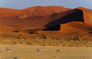 Namib Naukluft National Park - Alchetron, the free social encyclopedia