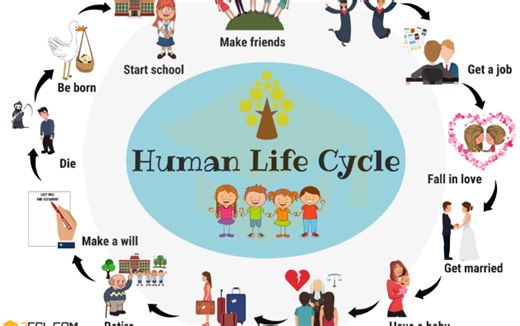 美国鼎鼎大名7ESL图解海报+视频！词汇/句子/语法全搞定！