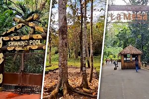 La Mesa Ecopark 'temporarily closing' as ABS-CBN Foundation ends stewardship | ABS-CBN Lifestyle