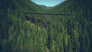 159 reactions · 20 shares | A family fun day trip? Glide over 7 trestles, past stunning scenery, and experience 10 dark tunnels. Mom approved! | Route of the Hiawatha - Scenic Bike Trail | Facebook