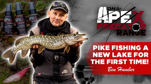 212K views · 479 reactions |  PIKE FISHING A NEW LAKE FOR THE FIRST...