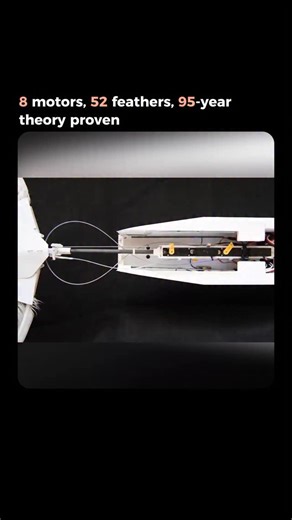 Luminica | AI & Tech Demos on Instagram: "🔬 Stanford just validated a theory from 1929. German scientist Franz Groebbels proposed that birds fly like „automatic airplanes“ using reflexes. Nobody could prove it—until now. PigeonBot I was the first attempt. Fixed wings, moving tail. It showed that tail control could reduce instability, but it wasn’t enough for fully autonomous flight. PigeonBot II is the breakthrough. 8 motors control 52 real pigeon feathers across morphing wings and tail. The ro