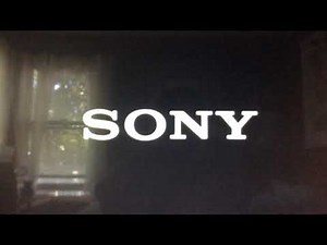 Sony Pictures Animation/Village Roadshow Pictures/Bad Robot (2019)