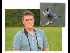 Faucon pèlerin - Un Prince dans le ciel de Courbet par Christian Bulle