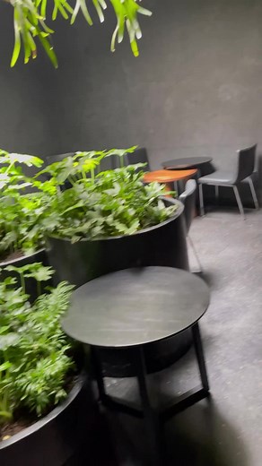 Ticuchi del Chef Enrique Olvera del Restaurante Pujol, Polanco, CDMX #cdmx #foodies #restaurantes #restaurantescdmx #Pujol #polanco | Siguientevlog