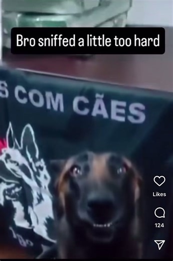 Funny Police Dog Moments on Instagram