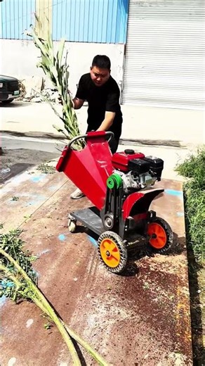 Portable chaff cutter farming use grass cutting for feeding animal #fcnfm #farmmachine