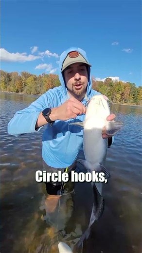 Do You Want To Catch More & Bigger Fish? Swap To Sustainable Circle Hooks: FATKAT Best Catfish Rig!