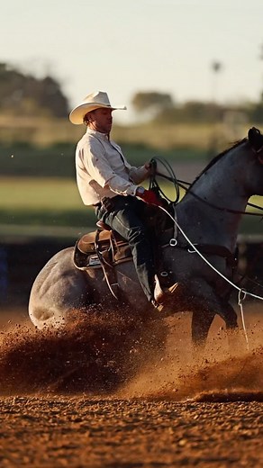 45K views · 2.1K reactions | There’s no comparison. Pride And Joyy — #1 All Time Leading Rope Horse Stallion LTE $313,000+ AQHA World Champion Heel Horse Multiple Time Futurity Champion Snaffle Bit Futurity Finalist #theverybest #soloselecthorses #stallion #ropehorse #relentlessremuda #bayroan #heelhorse #trevorbrazile #prideandjoyy | Solo Select Horses | Facebook