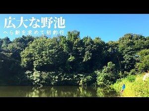 【広大な野池】へら鮒を求めて初釣行。埼玉県某野池。