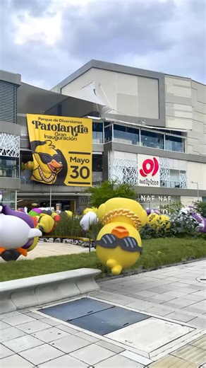 Empresa Influencer del año 🏆 Instafest X2 años consecutivos | CALI spoiler de atracciones en nuestro nuevo parque de diversiones el cual ya abre sus puertas en 9 día😱 @patolandiaco es mejor de lo que... | Instagram