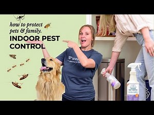 How To: Wondercide Indoor Pest Control spray