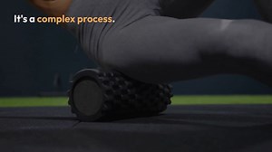 Essential Nutrients for Muscle Growth