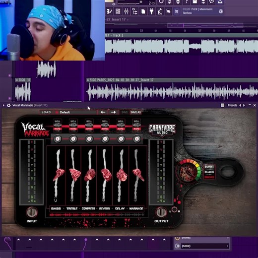 Unlock Stunning Vocals with Vocal Marinade Plugin