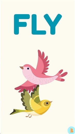 How Do Birds Move? | Flying Explained for Kids | BabylaneYT - Calm & Quiet Learning for Toddlers