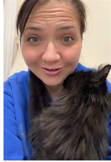 The massive pink cat tree has been relocated & still is a fan favorite among my residents.