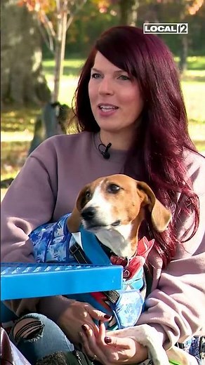 ‘Take a chance on the underdog’