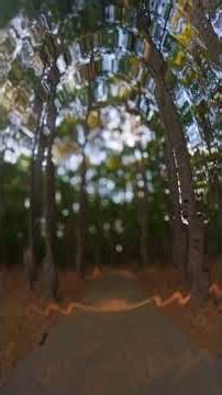 step inside a memory you almost had. | pov dreamcore short film