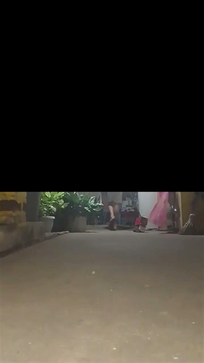 quebra de asa #6