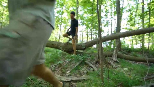 Surviving the wild where animals rule