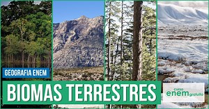 Biomas terrestres: quais são, características e localização
