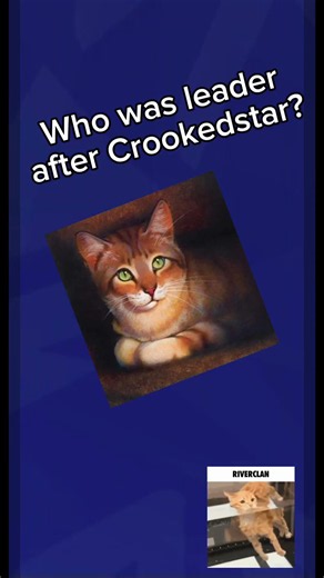 warrior cat quiz! #warriorcats #warriorcatquiz #quiz