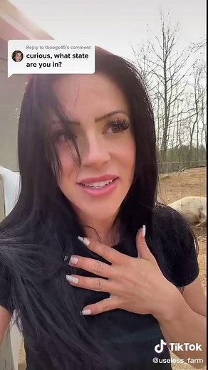 Comparing Heart Rates: Pygmy Shrew vs. Human