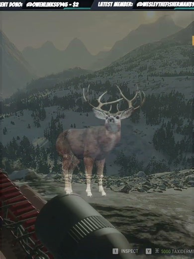 THIS Is The *COOLEST* Wonky Diamond EVER! Call of the wild #shorts
