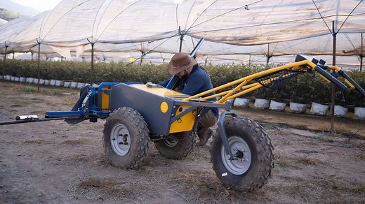 BloomX: Artificial pollination tech is revolutionizing how our growing planet gets fed