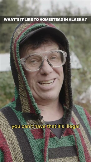 The crazy story of 18 wolf dogs worth 30K each in Alaska