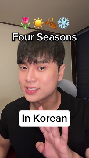 Four Seasons in Korean: Exploring Spring, Summer, Fall, and Winter!