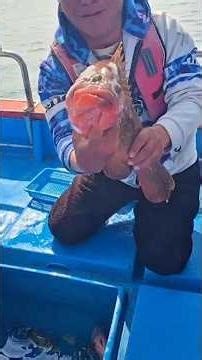 4월에 5짜 붉바리가 내만에서 나온다고??