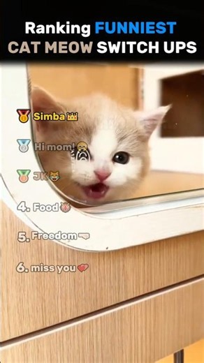 Ranking FUNNIEST CAT MEOWING SWITCH UPS Core Moments!! 🐱👺