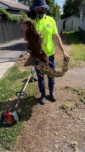 Certified Techniques for Next-Level Lawn Care