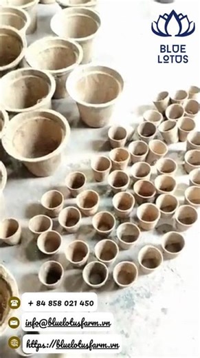 Eco-Friendly Coir Pot | Biodegradable Plant Pot