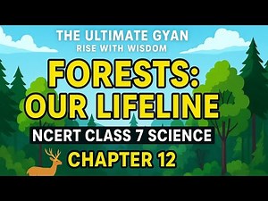 12. Class 7 | Science | Ch 12 - Forests: Our Lifeline | NCERT Explained