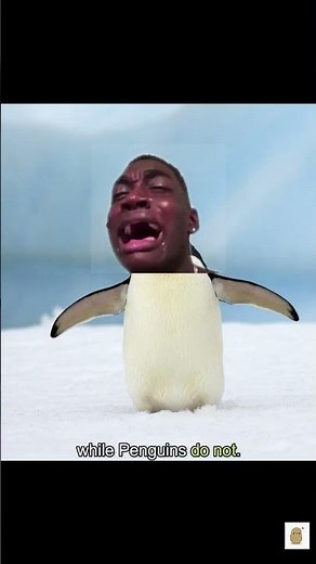 'Mighty Sven' in Happy Feet 2 Movie in Real Life #shorts #shortvideo