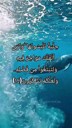 انْظُرْ إِلَى عَجَائِبِ خَلْقِ اللَّهِAllah’s Amazing Creation | Surah An-Nahl 13–14