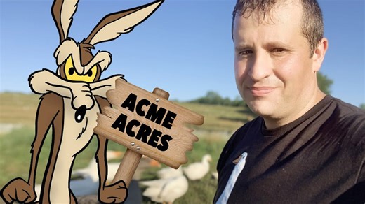 Wile E Coyote taught me unusual lessons about farming