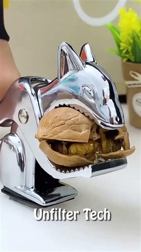 Squirrel Nutcracker: Sabse Unique Kitchen Gadget! 🐿️✨