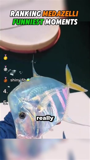 The Heartwarming Tale of the Rainbow Fish