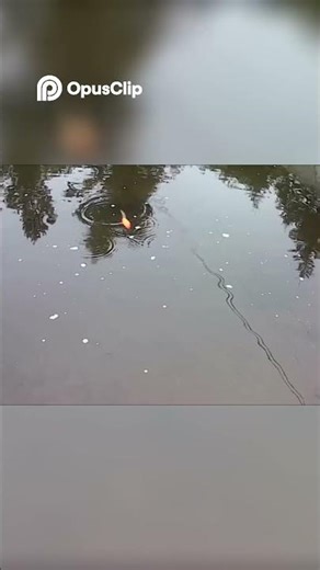 Mesmerizing Water Reflections A Visual Escape #fishing #fishingtechniques #bassfishing