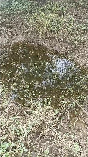 fishing | J4 TECH | #fishing #shortvideo