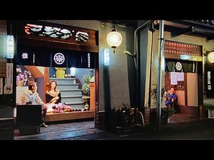 ミナミの帝王 誘惑の華（2003）｜飛田新地